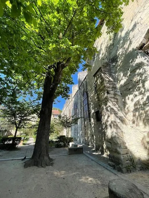 Apartment Charmant Studio, Centre Historique, Carmes Avignon